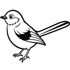 Blue-gray Gnatcatcher illustration flat vector design