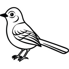 Obraz premium Blue-gray Gnatcatcher illustration flat vector design