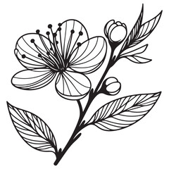 black and white flower vector