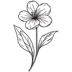 black and white flower vector