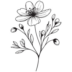 black and white flower vector