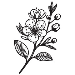 black and white flower vector