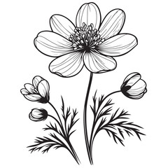 black and white flower vector