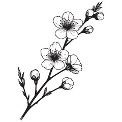 black and white flower vector