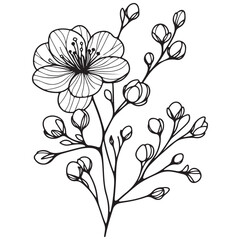 black and white flower vector