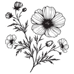 black and white flower vector