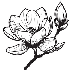 black and white flower vector