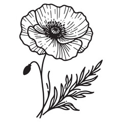 black and white flower vector