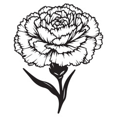 black and white flower vector