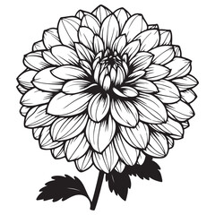 black and white flower vector
