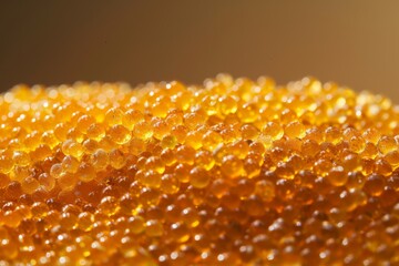 Golden Whitefish Caviar Splendor