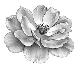 Rose flower floral damask botany vintage petal engraved vector Victorian tattoo Baroque bunch bouquet ornament leaf retro pattern decorative design filigree calligraphic ornate 