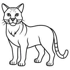 Bobcat illustration flat vector design