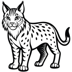 Bobcat illustration flat vector design