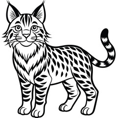 Bobcat illustration flat vector design