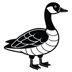 Canada Goose illustration flat vector design