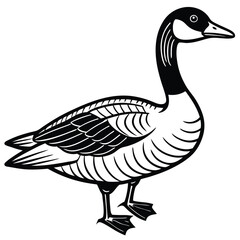 Canada Goose illustration flat vector design