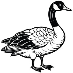 Canada Goose illustration flat vector design