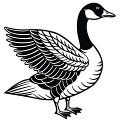 Canada Goose illustration flat vector design