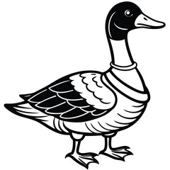 Canada Goose illustration flat vector design