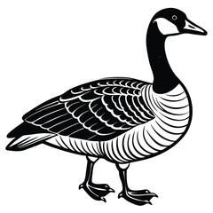 Canada Goose illustration flat vector design