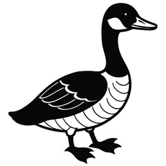 Canada Goose illustration flat vector design