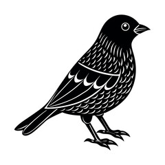 northern garnet bird vector silhouette