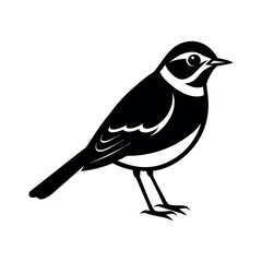 Obraz premium Willow Grouse Standing Bird Vector Silhouette