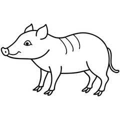 Collared Peccary illustration flat vector design