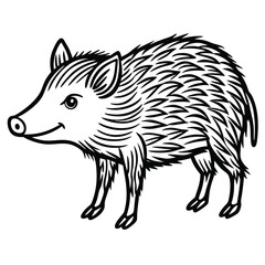 Collared Peccary illustration flat vector design