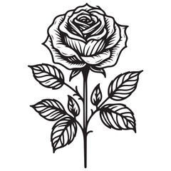 black and white flower vector