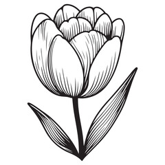 black and white flower vector