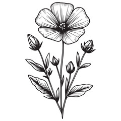 black and white flower vector