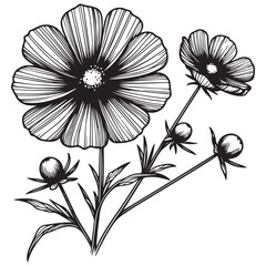 black and white flower vector
