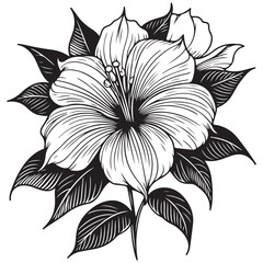 black and white flower vector