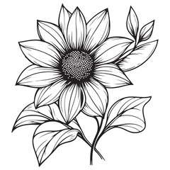 black and white flower vector