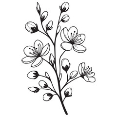 black and white flower vector