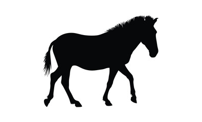 Zebra silhouette illustration, Wild animal icon, African wildlife graphic