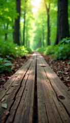 Weathered wooden planks on a rustic forest floor, wood, tree, nature
