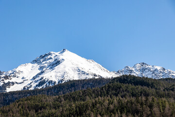 Snow-covered mountain peaks above coniferous forest under clear blue sky..