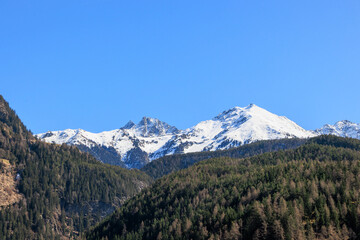 Snow-covered mountain peaks above coniferous forest under clear blue sky..
