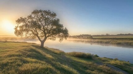 A lone tree stands next to a tranquil river at dawn
