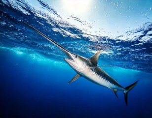 Swordfish are swimming in the deep blue sea