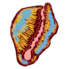 Shell in stylized technique. Marine world, shell texture, pencil marker strokes. Vector element