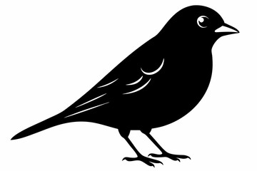 linnet sihouette black vector