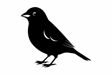 linnet sihouette black vector