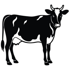 Fototapeta premium friendly cow