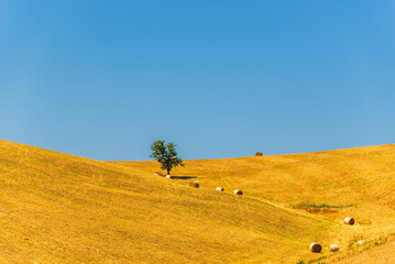 rural countryside landscape during a sunny summer day inside Val d'Agri, Basilicata
