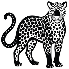 Fototapeta premium leopard