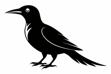 Wallcreeper silhouette black vector